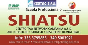 CTN Campania banner 3
